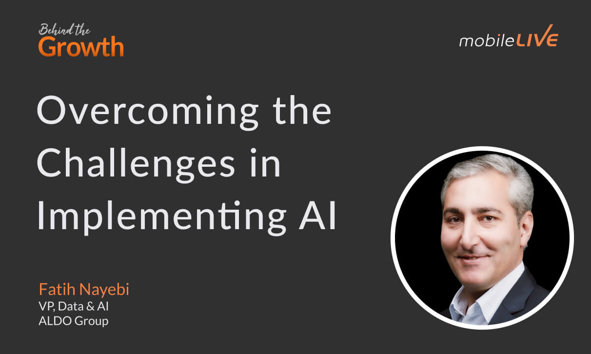 Overcoming the Challenges in Implementing AI