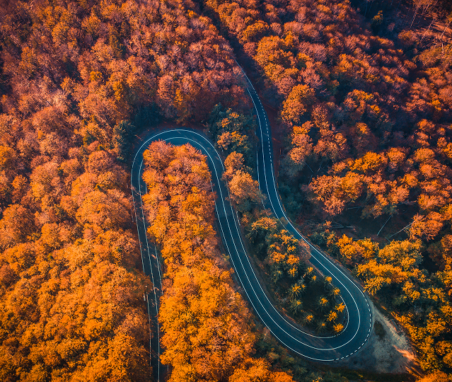 data-ai image